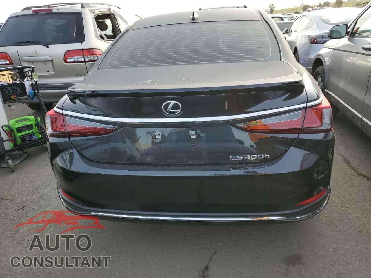 LEXUS ES300 2024 - 58ADA1C19RU044369
