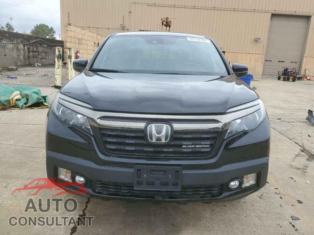 HONDA RIDGELINE 2019 - 5FPYK3F88KB028507
