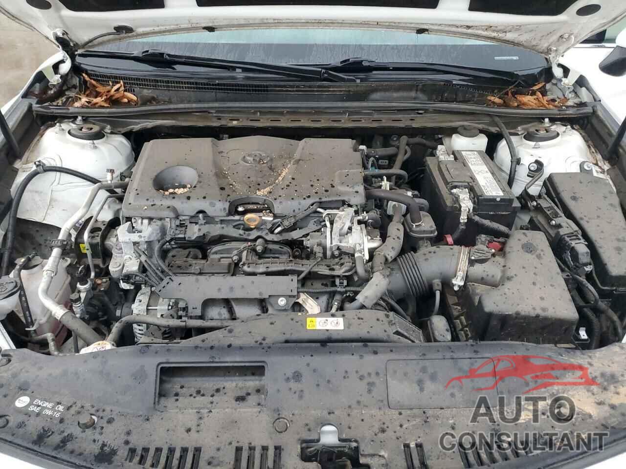 TOYOTA CAMRY 2019 - 4T1B11HK8KU855781