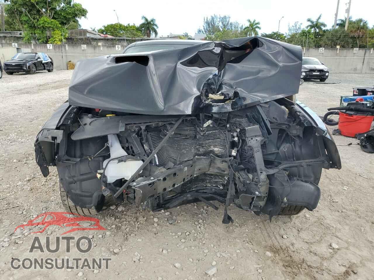 DODGE CHALLENGER 2019 - 2C3CDZAG1KH557942