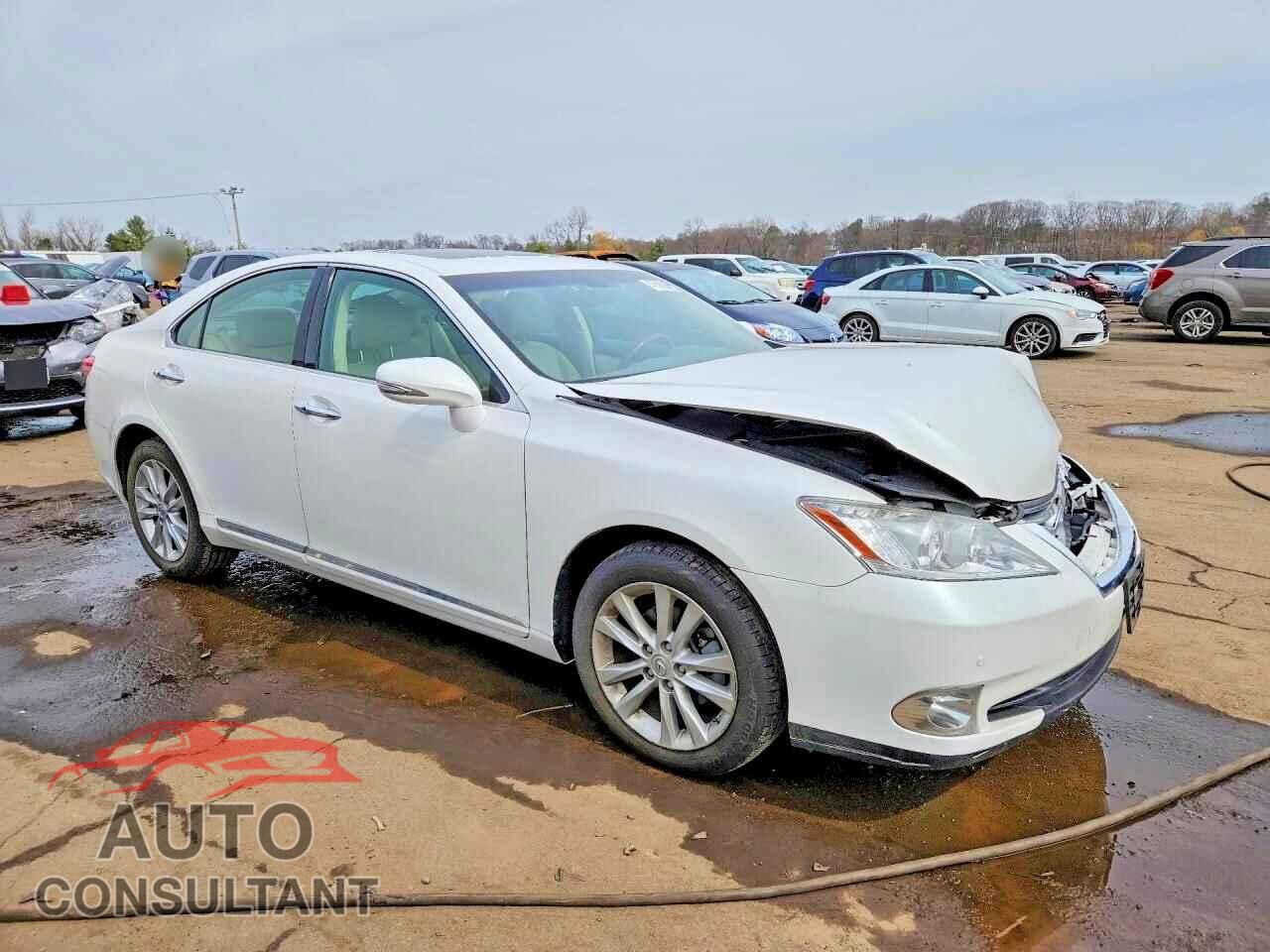 LEXUS ES350 2011 - JTHBK1EG2B2431234