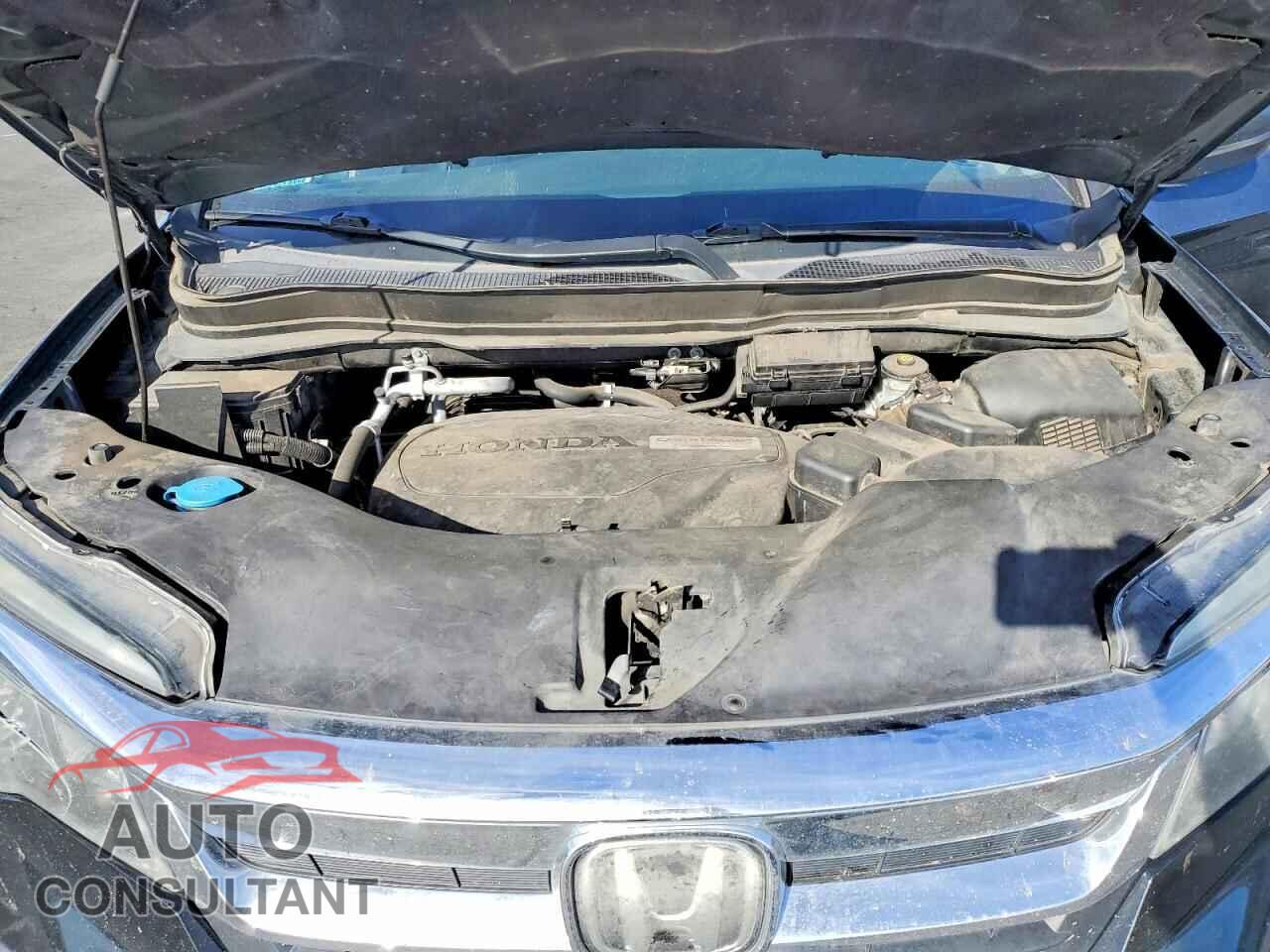 HONDA PILOT 2019 - 5FNYF6H16KB043263
