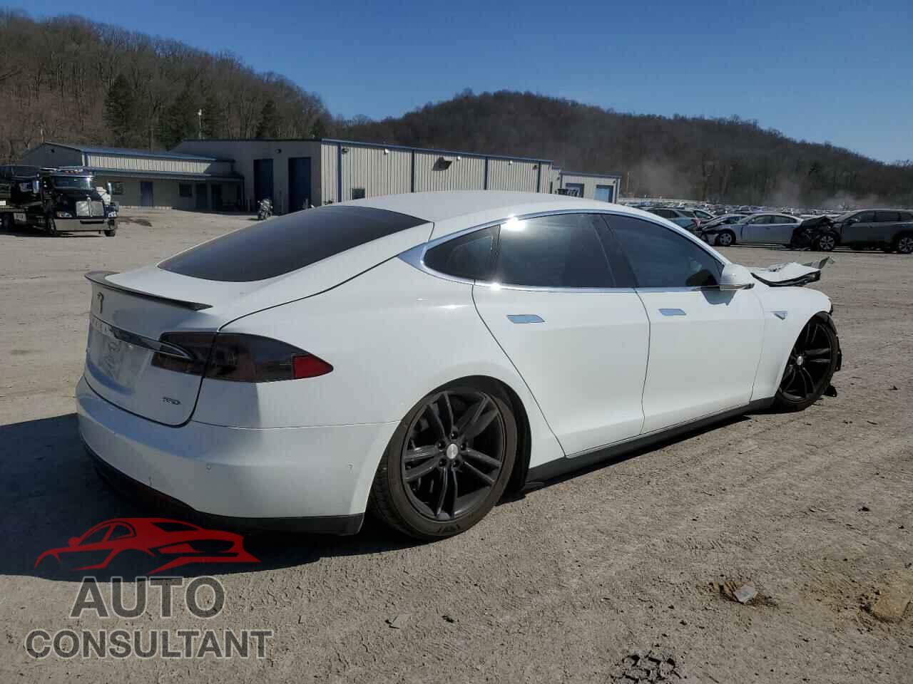 TESLA MODEL S 2015 - 5YJSA1H29FF096724