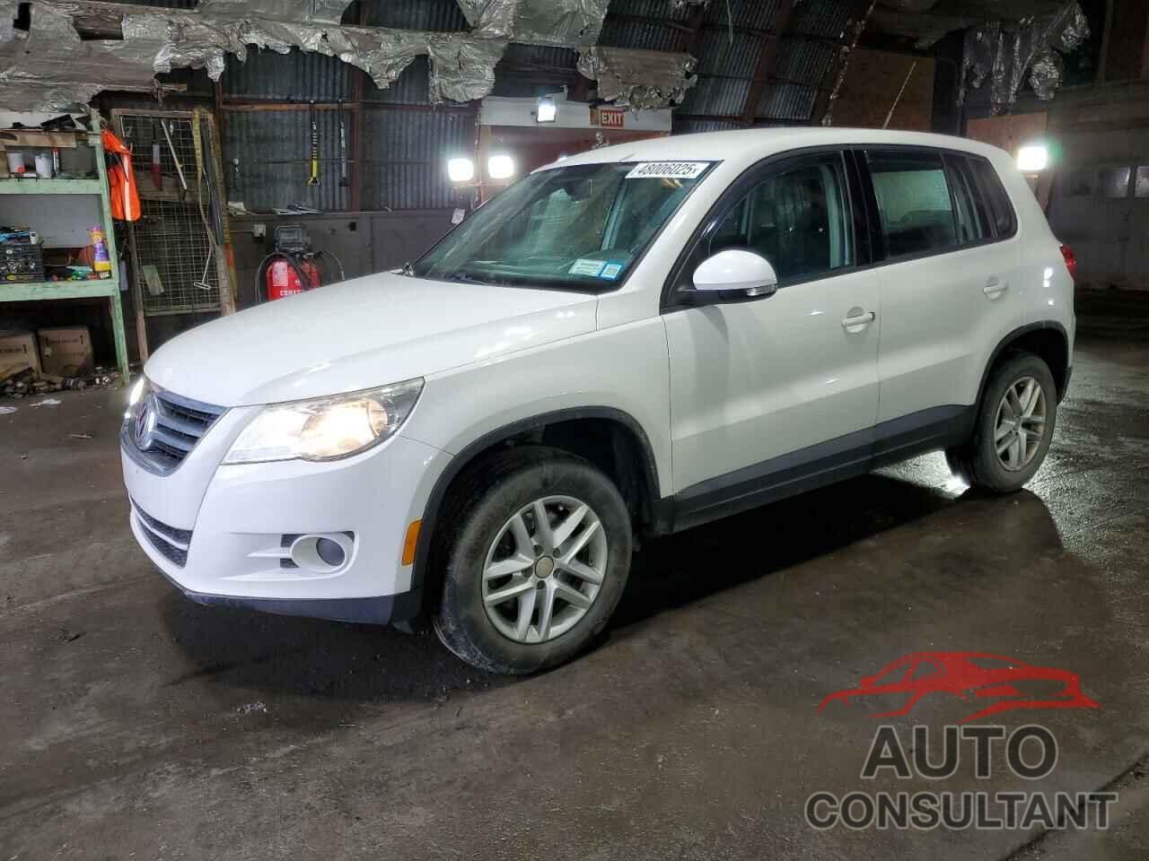 VOLKSWAGEN TIGUAN 2011 - WVGBV7AX8BW509859