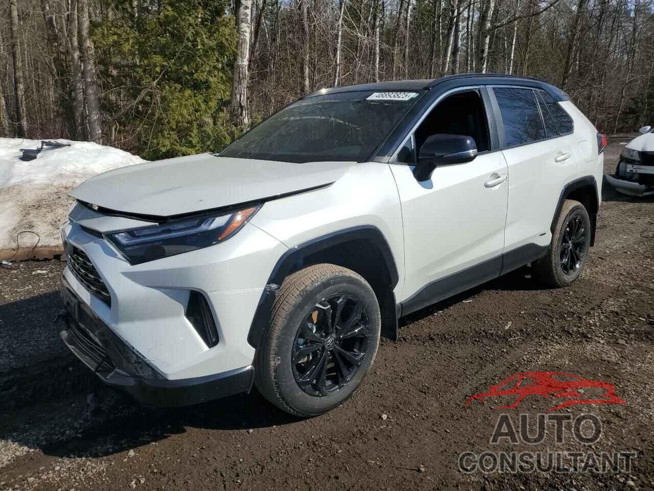 TOYOTA RAV4 2024 - 2T35WRFV1RW212636
