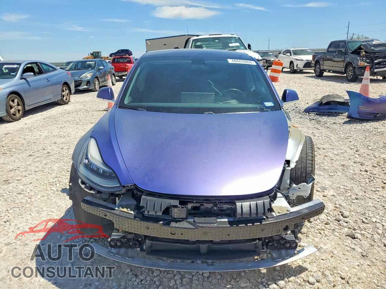 TESLA MODEL 3 2019 - 5YJ3E1EB8KF433343