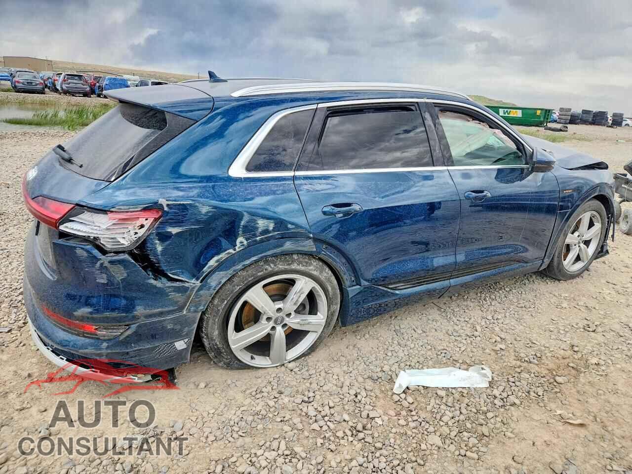 AUDI E-TRON 2019 - WA1VAAGE0KB021815