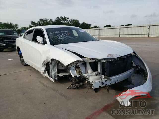 DODGE CHARGER 2019 - 2C3CDXBG4KH737791