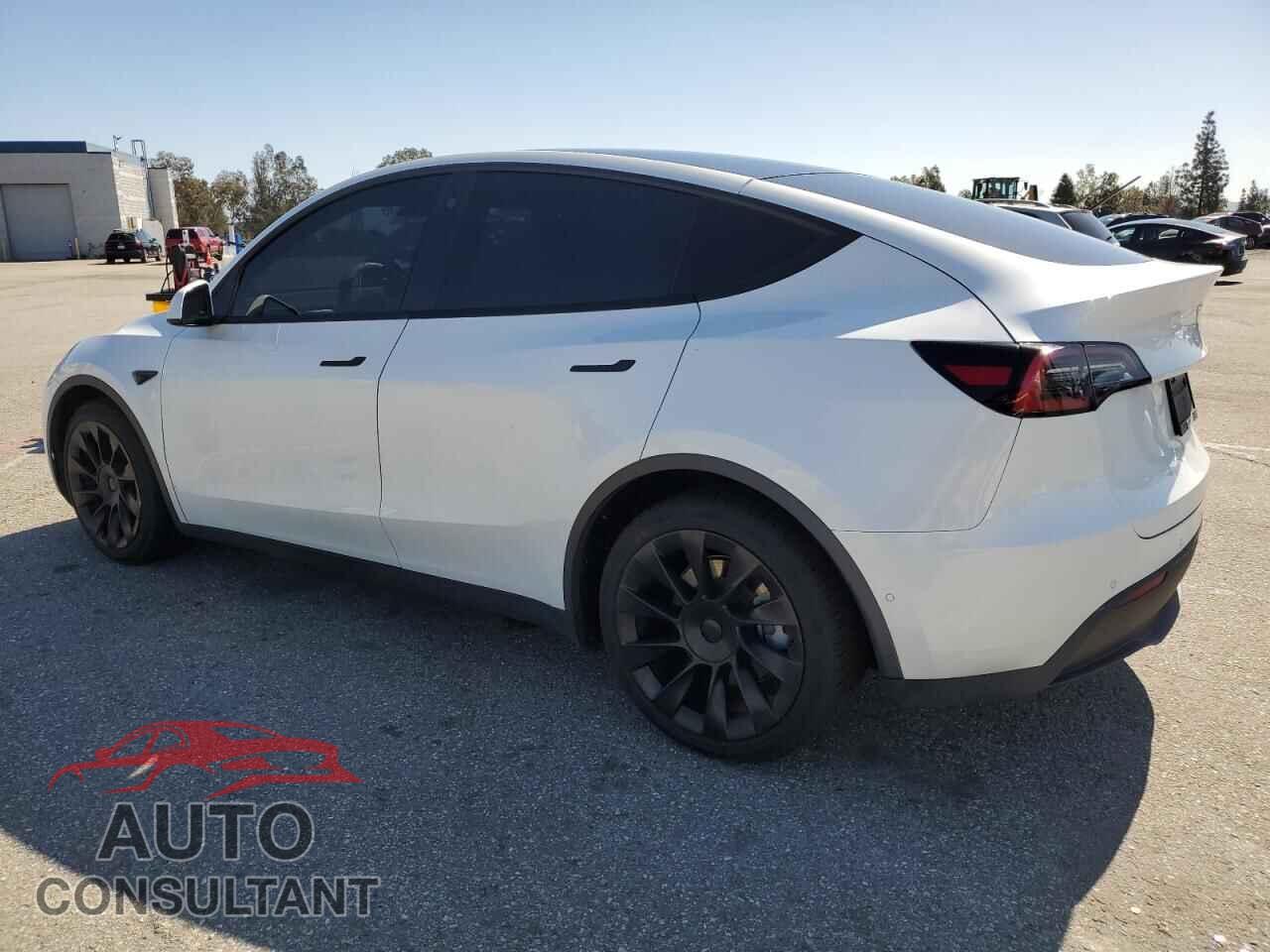 TESLA MODEL Y 2021 - 5YJYGDEEXMF065536