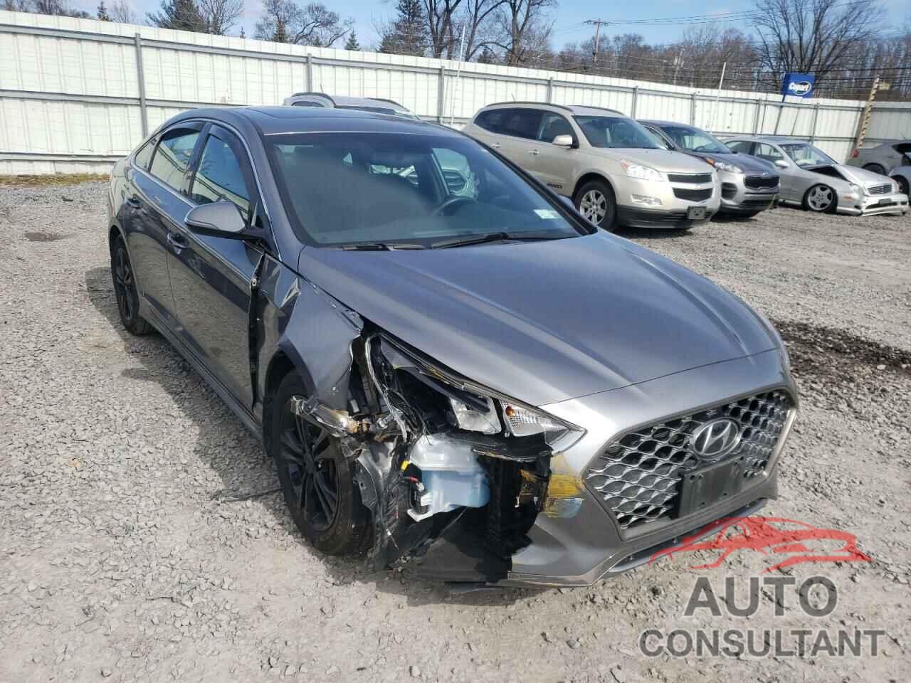 HYUNDAI SONATA 2019 - 5NPE34AF9KH782229