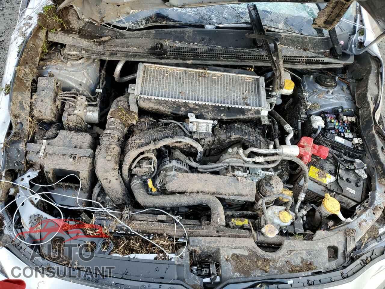 SUBARU WRX 2023 - JF1VBAF62P9800862