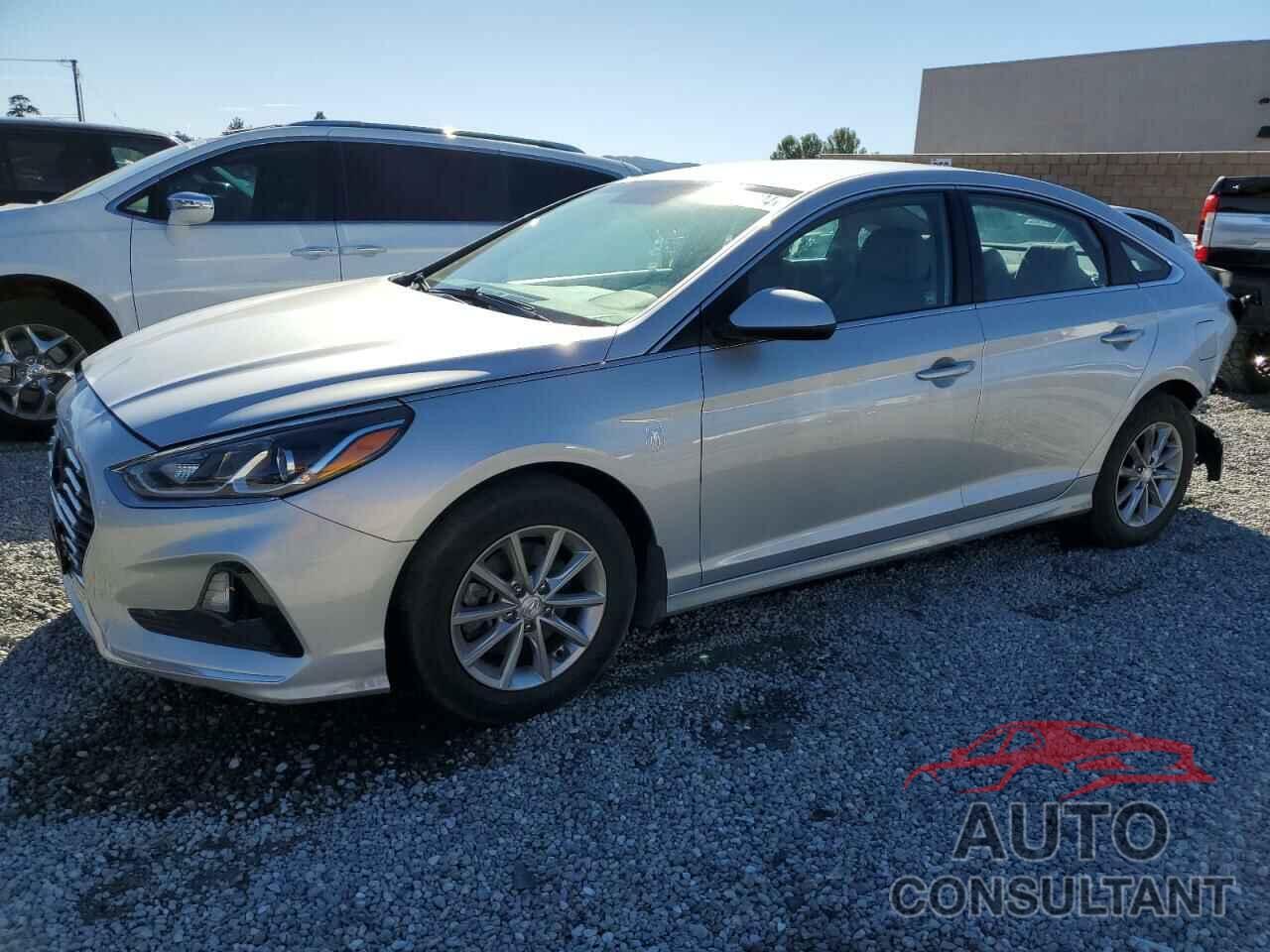 HYUNDAI SONATA 2019 - 5NPE24AF5KH743270