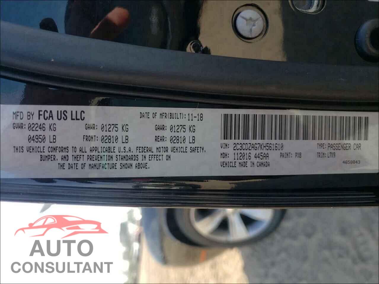DODGE CHALLENGER 2019 - 2C3CDZAG7KH561610