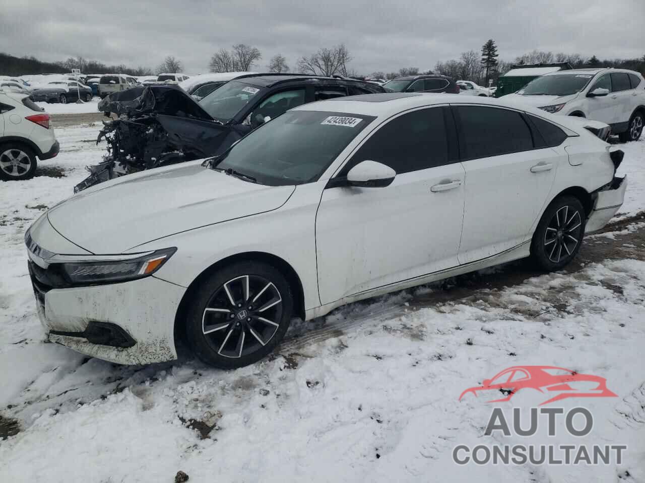 HONDA ACCORD 2021 - 1HGCV1F58MA107970
