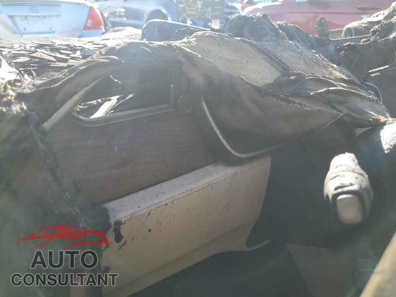 TESLA MODEL X 2018 - 5YJXCAE25JF091288
