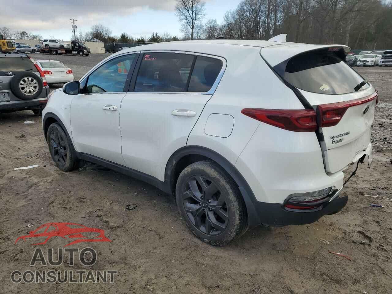 KIA SPORTAGE 2022 - KNDPMCAC4N7019727