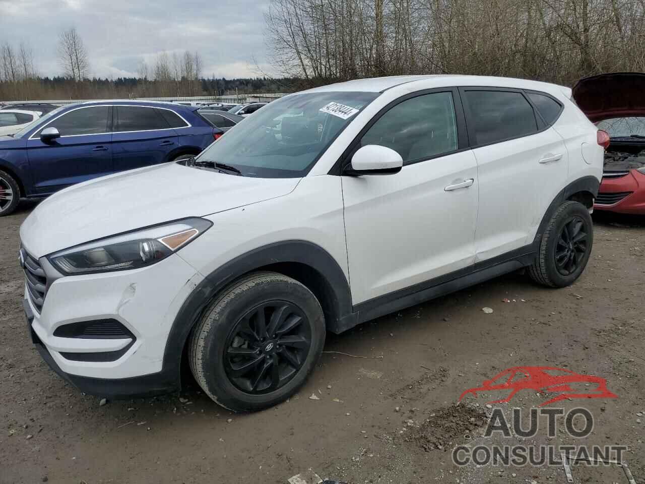 HYUNDAI TUCSON 2018 - KM8J2CA48JU794141