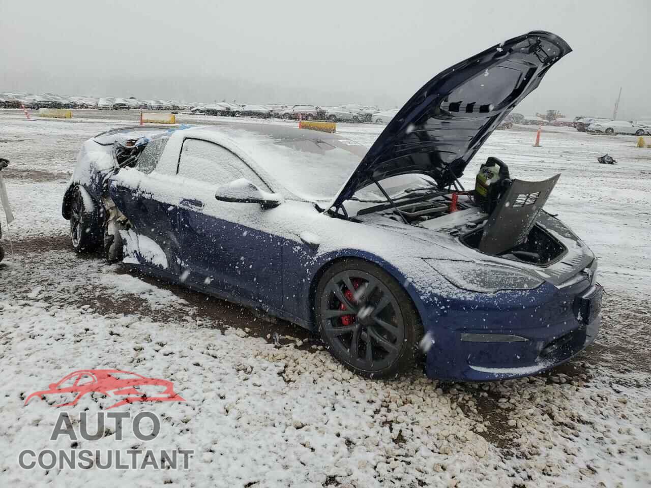 TESLA MODEL S 2023 - 5YJSA1E64PF520836