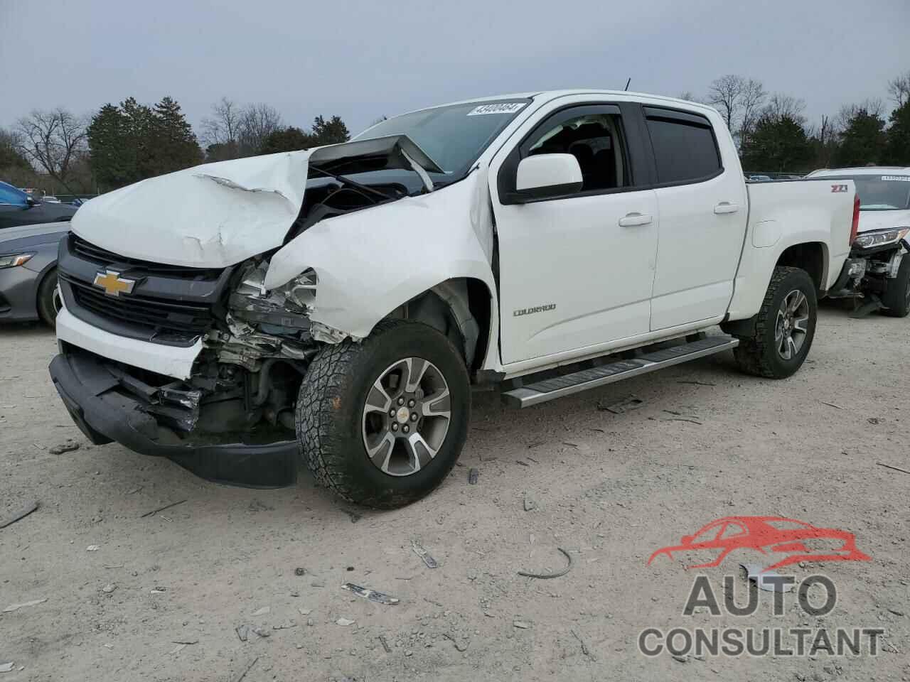 CHEVROLET COLORADO 2019 - 1GCGTDEN0K1174343