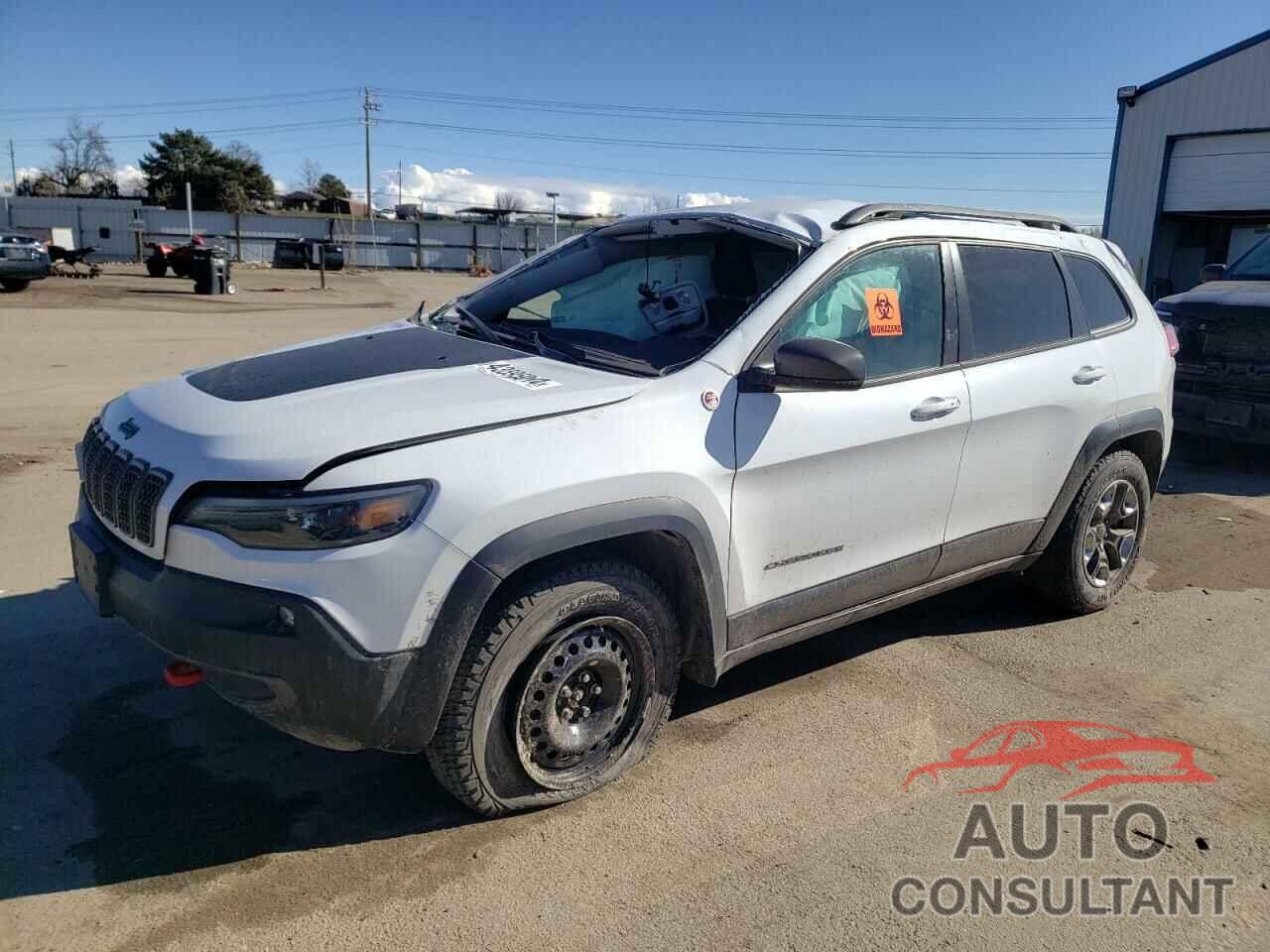 JEEP CHEROKEE 2019 - 1C4PJMBX1KD362590