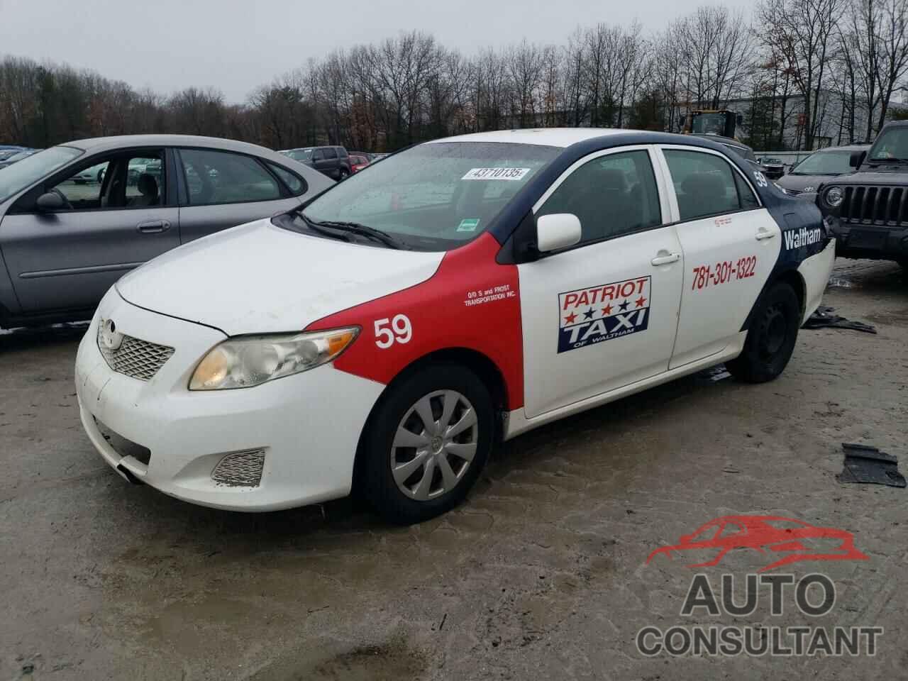 TOYOTA COROLLA 2010 - 2T1BU4EE7AC390238