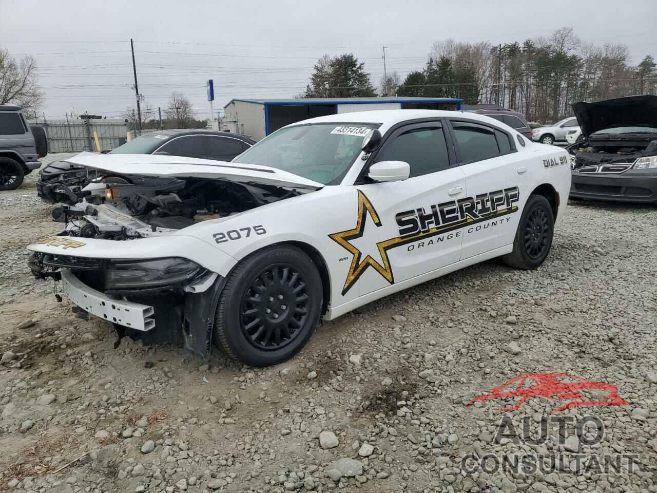 DODGE CHARGER 2019 - 2C3CDXKT6KH609260