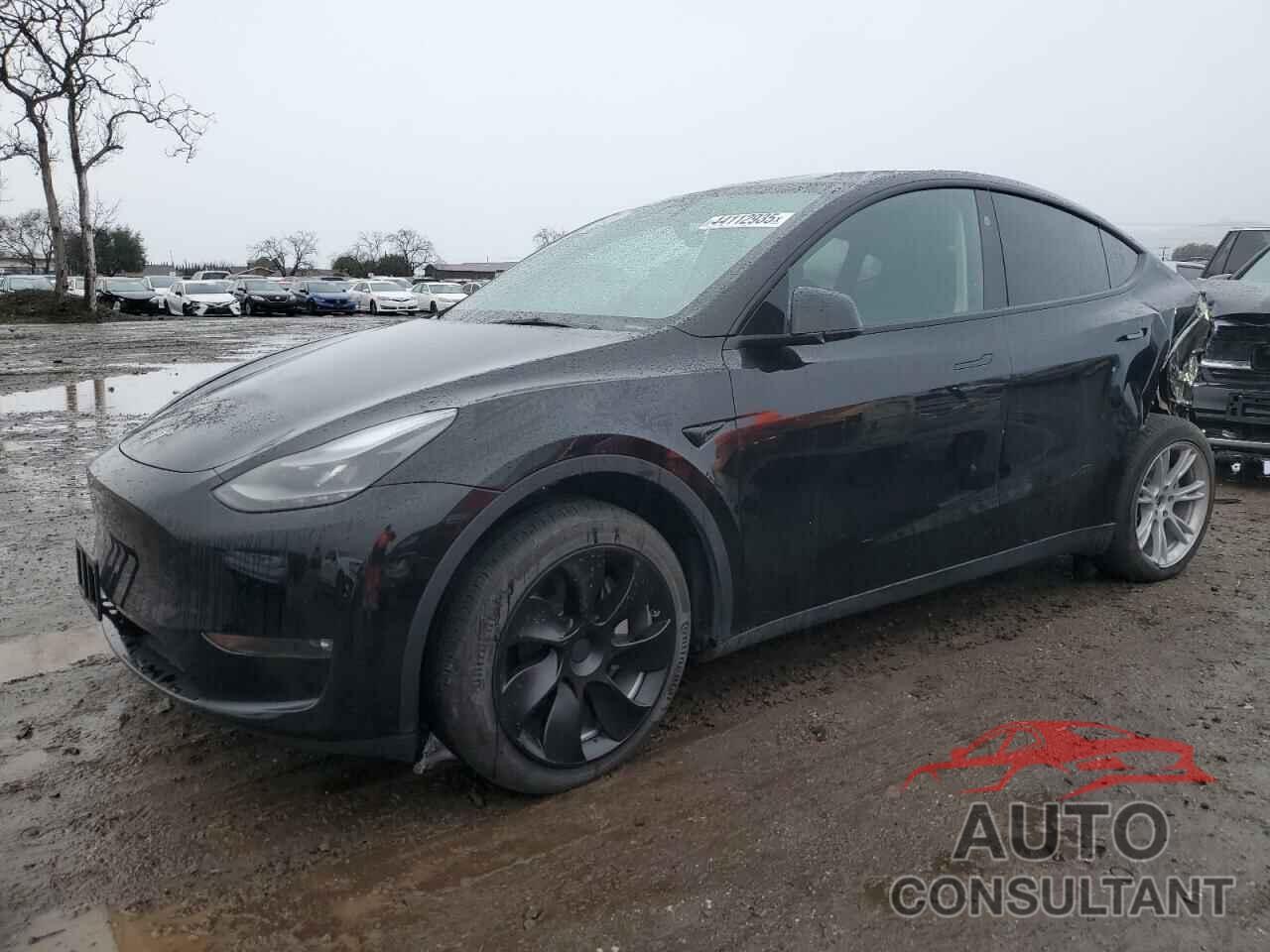TESLA MODEL Y 2023 - 7SAYGDEE0PF937455
