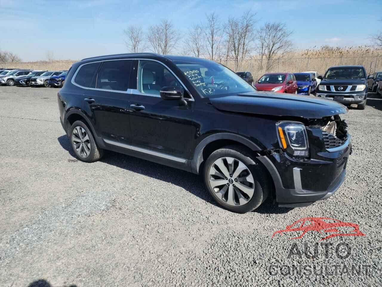 KIA TELLURIDE 2021 - 5XYP6DHC7MG138539