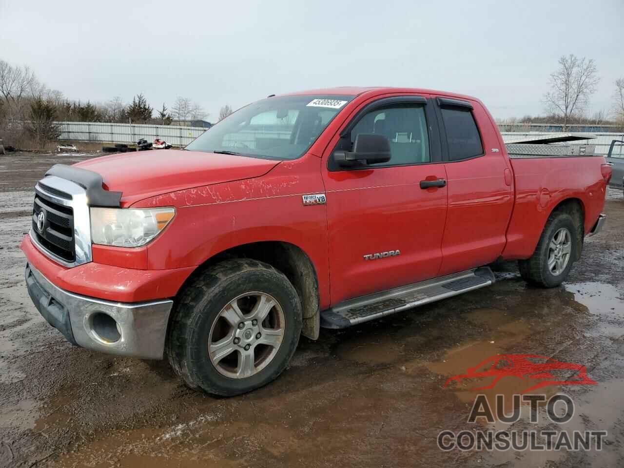 TOYOTA TUNDRA 2010 - 5TFUW5F16AX121492