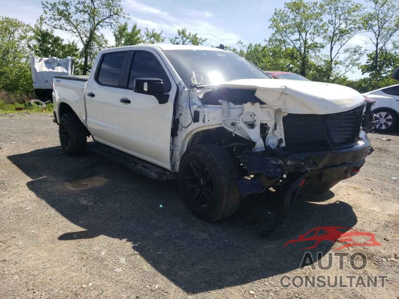 CHEVROLET SILVERADO 2021 - 1GCPYFEL0MZ136014
