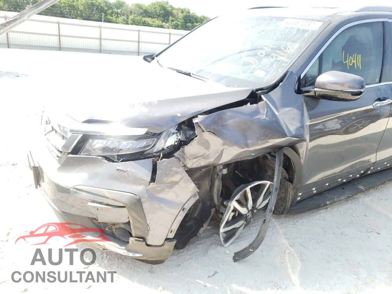 HONDA PILOT 2019 - 5FNYF5H60KB011916