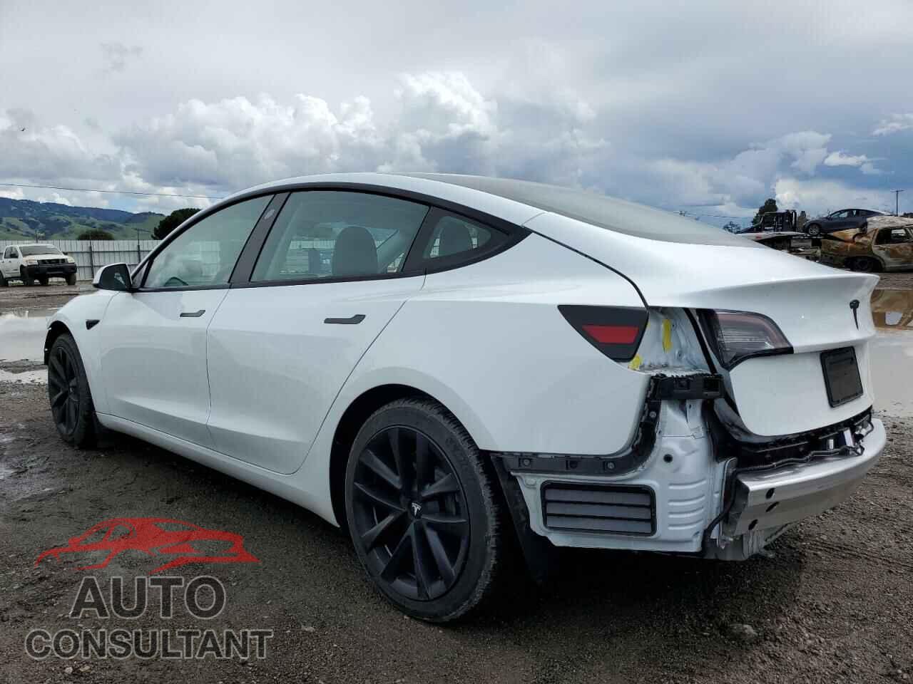 TESLA MODEL 3 2022 - 5YJ3E1EA7NF237566