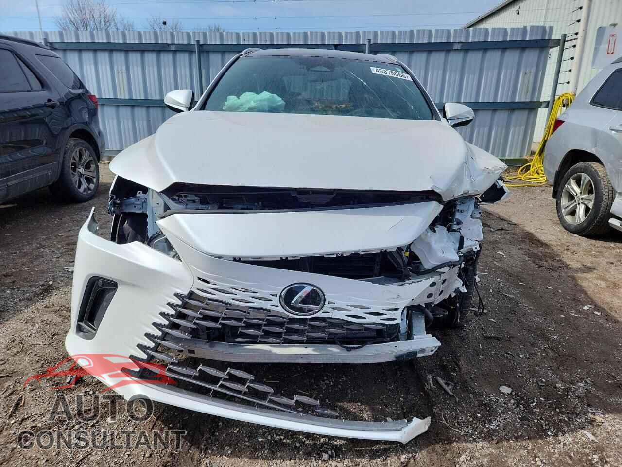 LEXUS UNKNOWN 2024 - 2T2BBMCA6RC034652