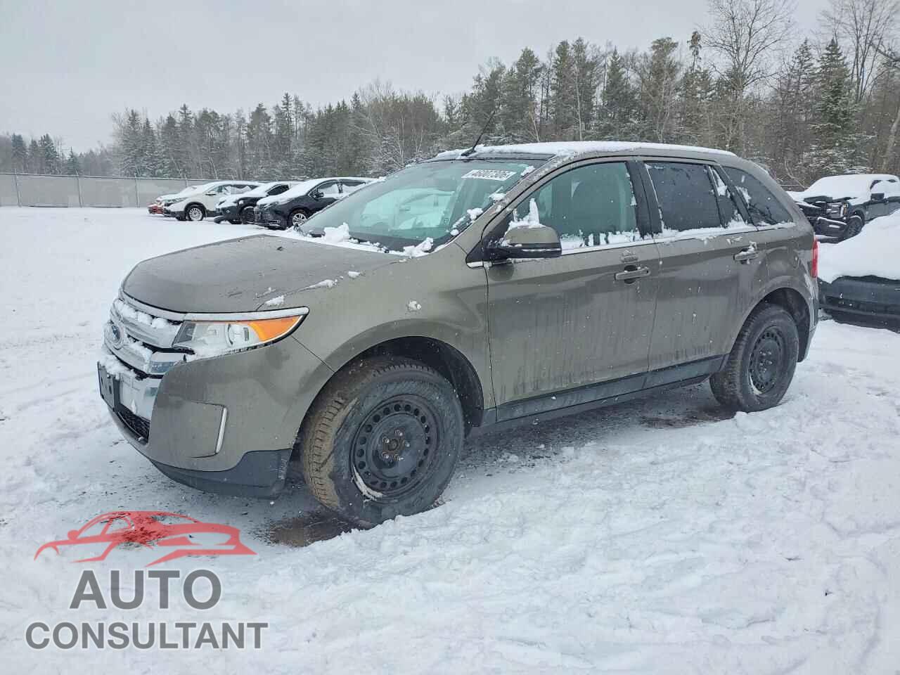 FORD EDGE 2014 - 2FMDK4KC2EBB01617
