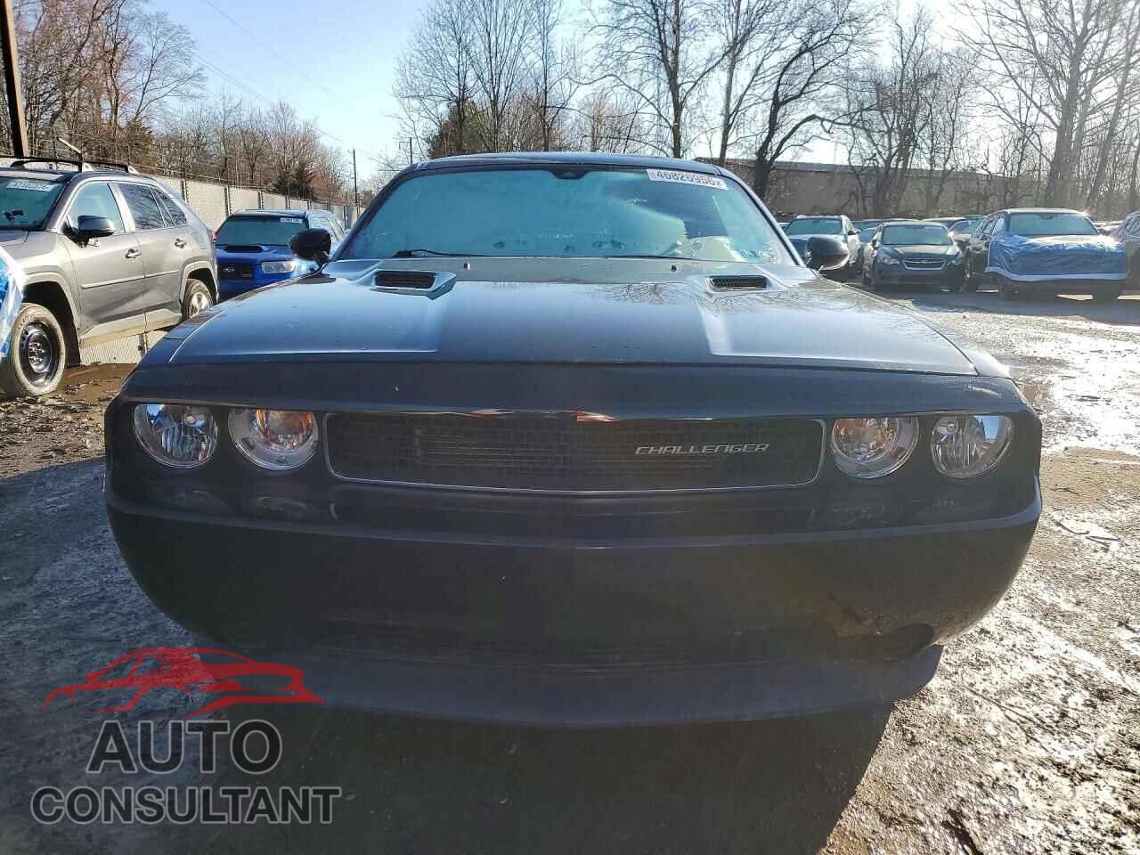 DODGE CHALLENGER 2014 - 2C3CDYAG0EH209855