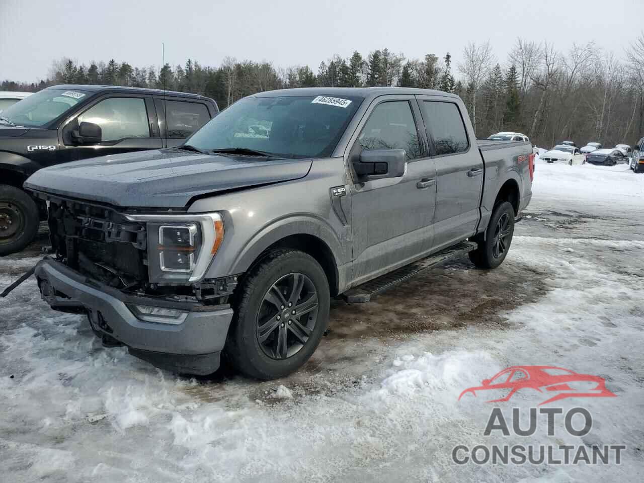 FORD F-150 2021 - 1FTEW1EP2MKD38705