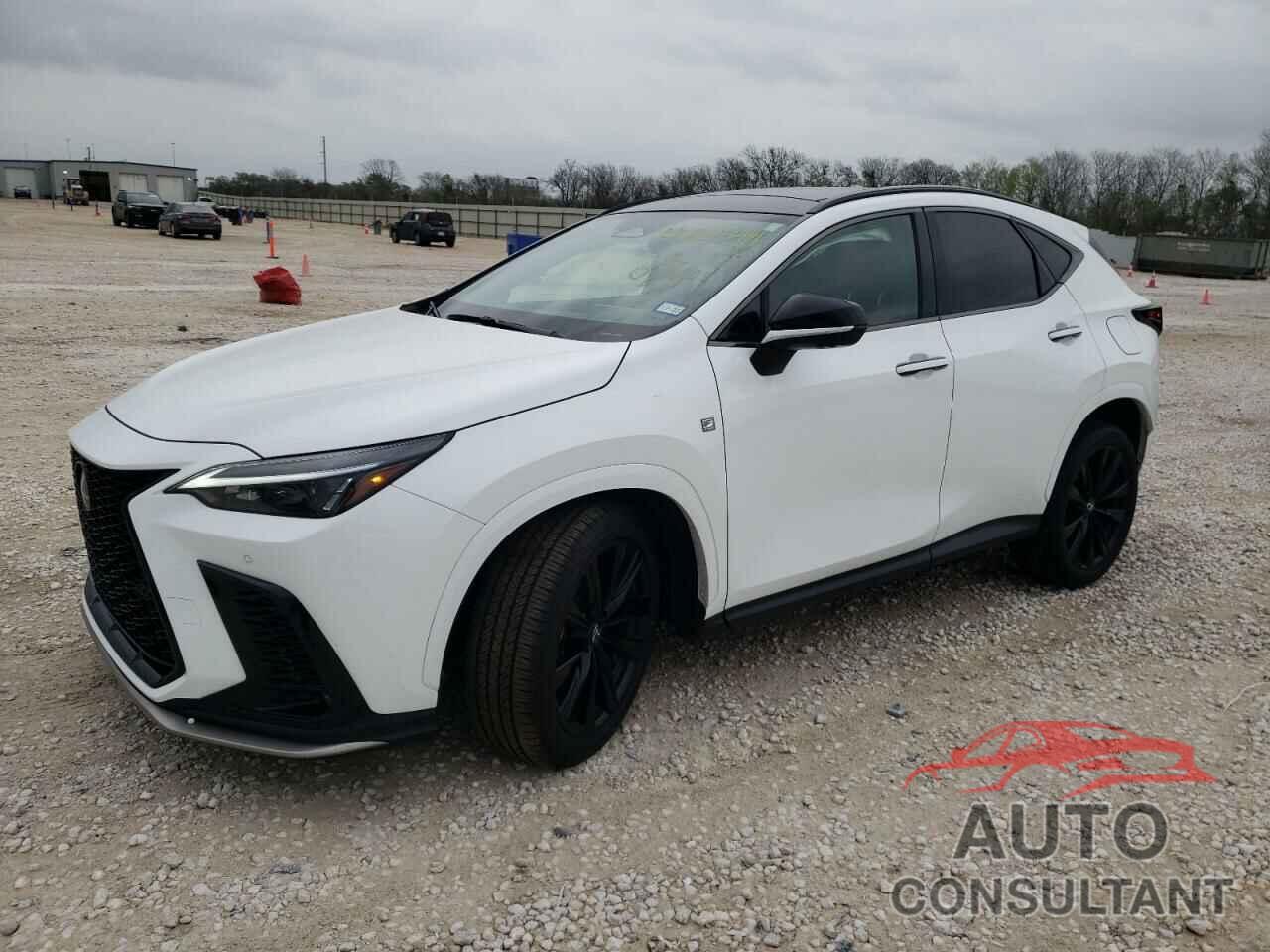 LEXUS NX 350 LUX 2024 - 2T2KGCEZ4RC049536