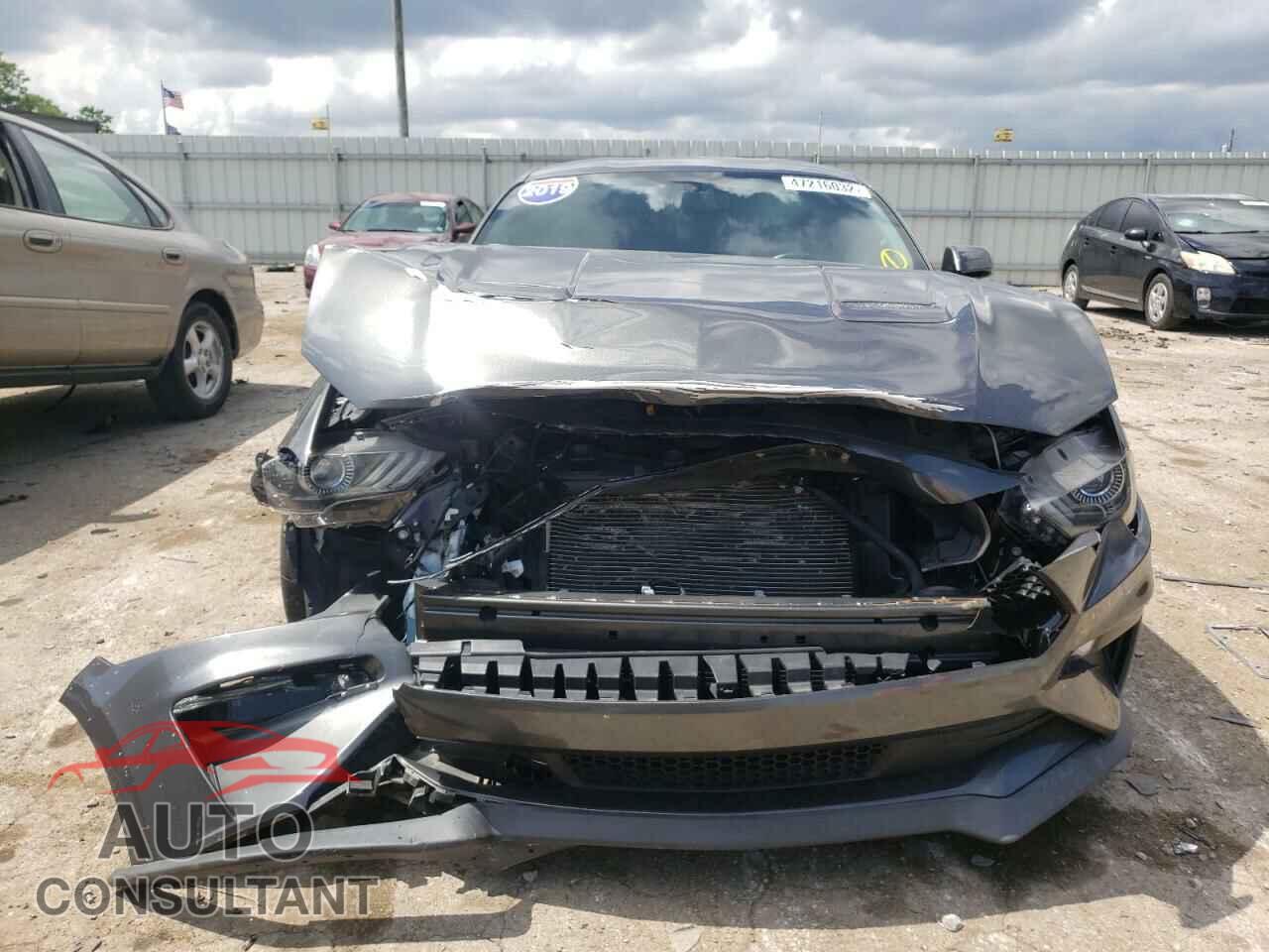 FORD MUSTANG 2019 - 1FA6P8CF3K5174077