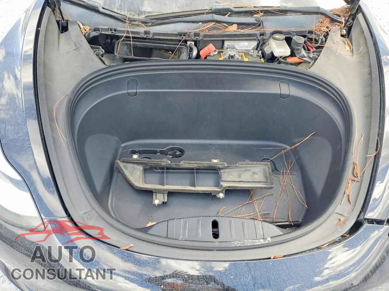 TESLA MODEL 3 2019 - 5YJ3E1EA5KF398834
