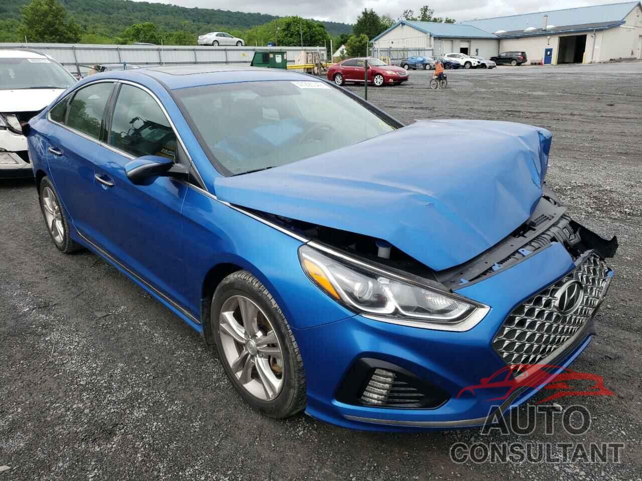 HYUNDAI SONATA 2019 - 5NPE34AF4KH762597