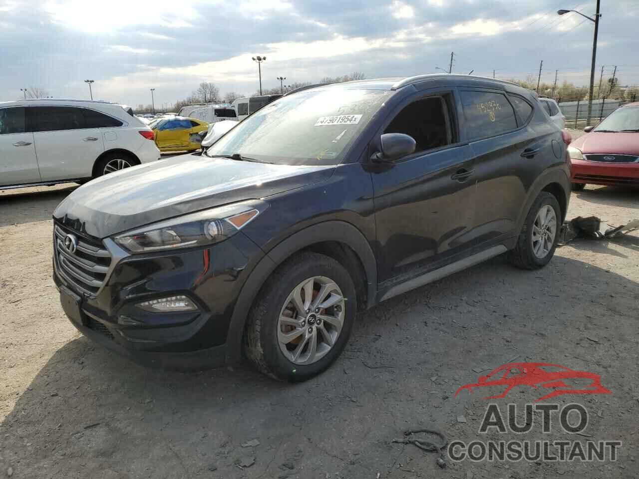 HYUNDAI TUCSON 2017 - KM8J33A42HU452336