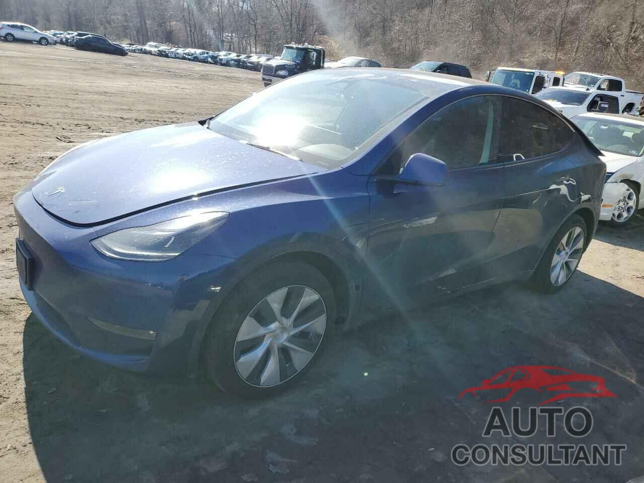 TESLA MODEL Y 2024 - 7SAYGAEE7RF063042