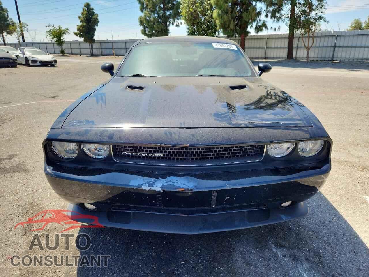 DODGE CHALLENGER 2013 - 2C3CDYAG7DH734054