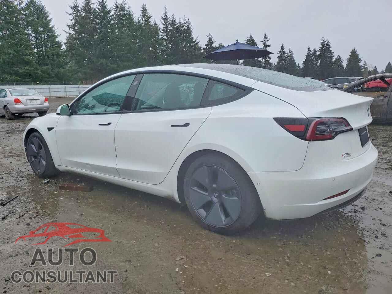 TESLA MODEL 3 2021 - 5YJ3E1EA3MF929936