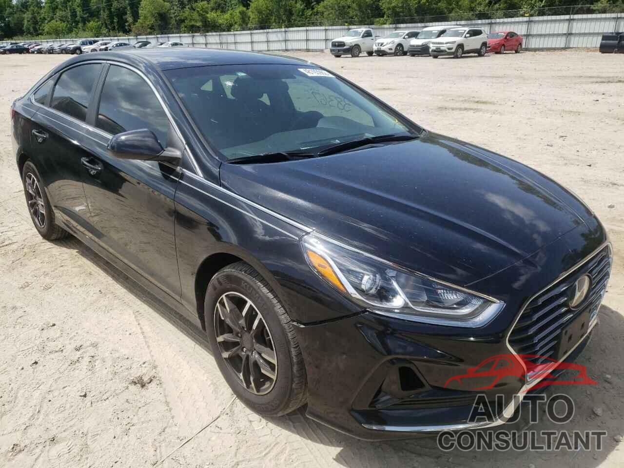HYUNDAI SONATA 2019 - 5NPE24AF1KH761233