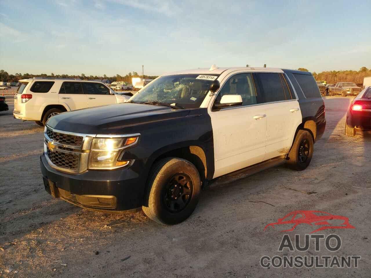 CHEVROLET TAHOE 2019 - 1GNLCDEC2KR295283