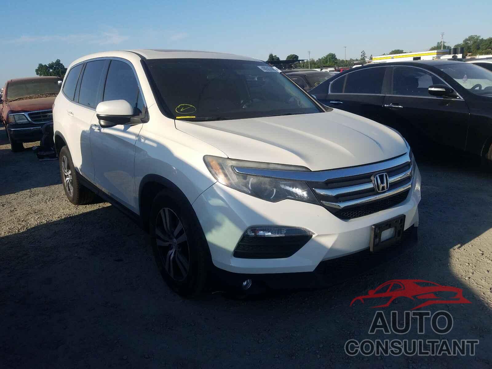 HONDA PILOT 2016 - 5FNYF5H56GB019999