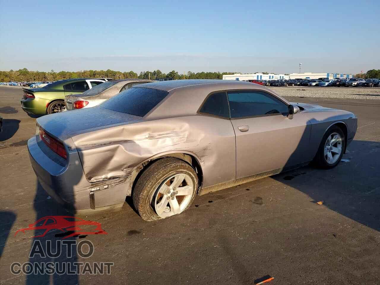 DODGE CHALLENGER 2014 - 2C3CDYAG8EH289681