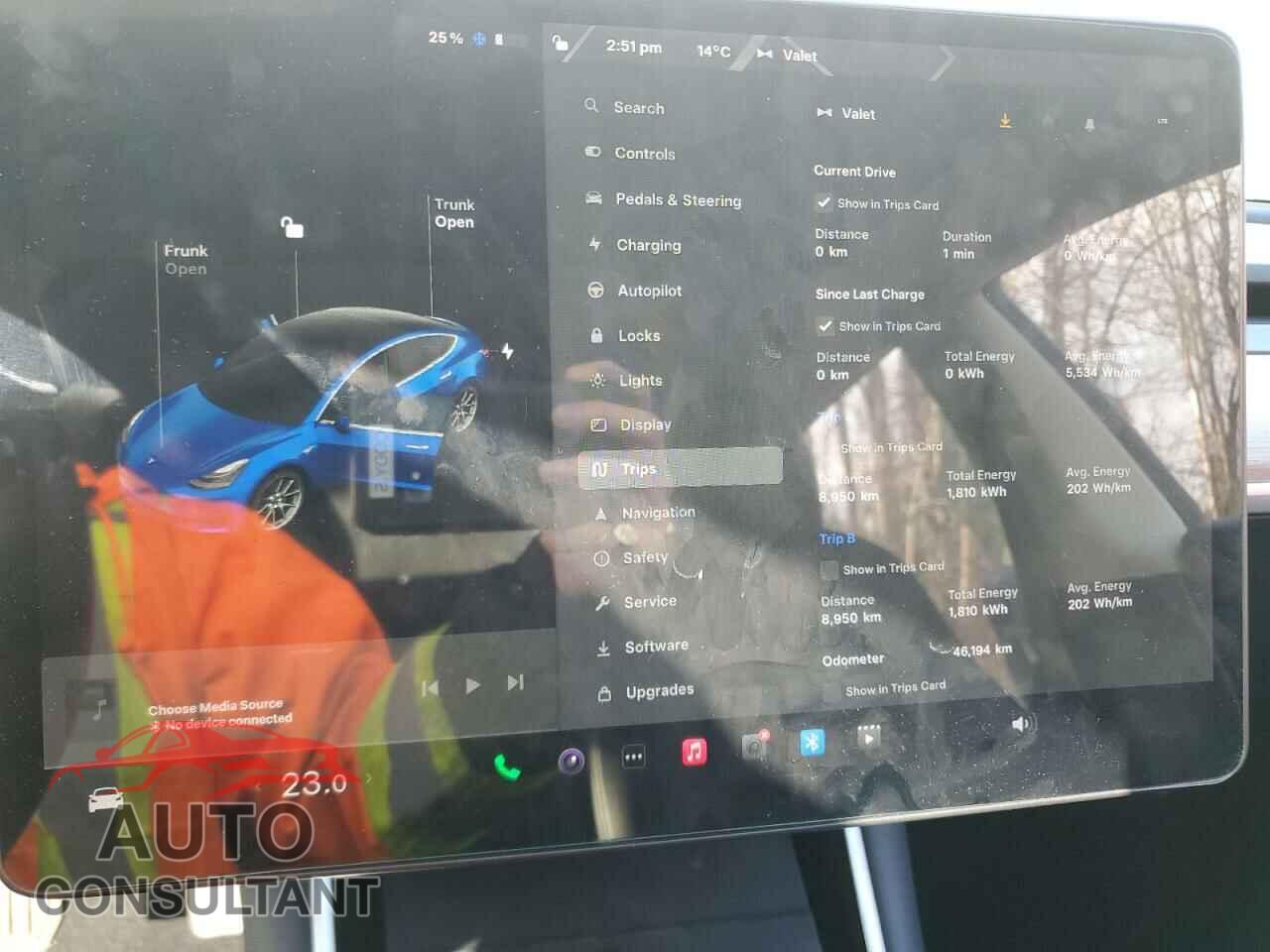 TESLA MODEL 3 2020 - 5YJ3E1EA8LF794001