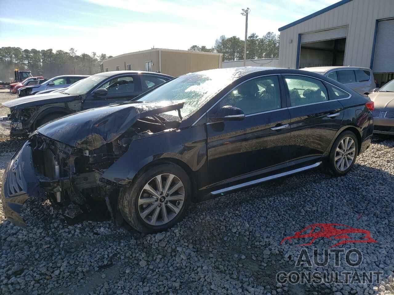 HYUNDAI SONATA 2016 - 5NPE34AF3GH303519